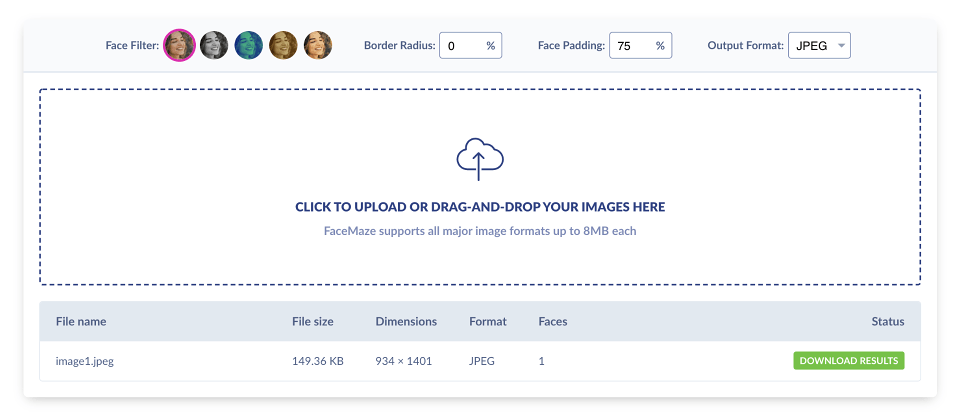 FaceMaze Web Interface